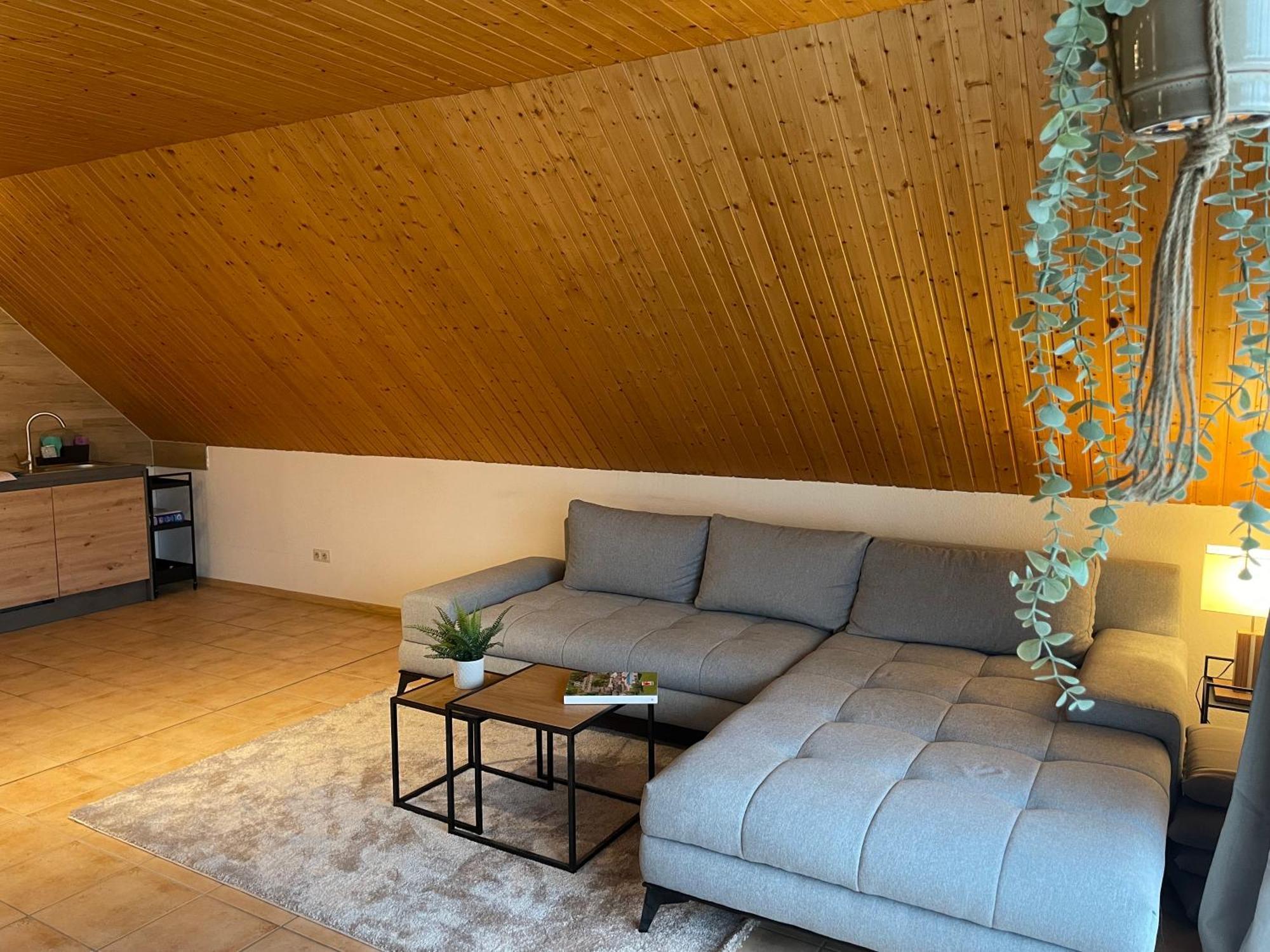 Apartment Harzperle - Lautenthal ลางเกลส์ไฮม์ ภายนอก รูปภาพ